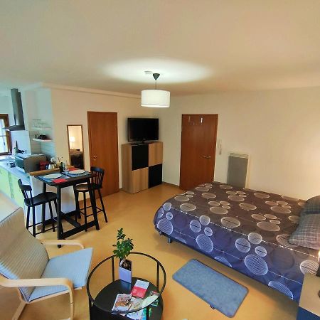 Lumineux Appartement Free Parking Nature Ville Tt Equipe Thann Zewnętrze zdjęcie