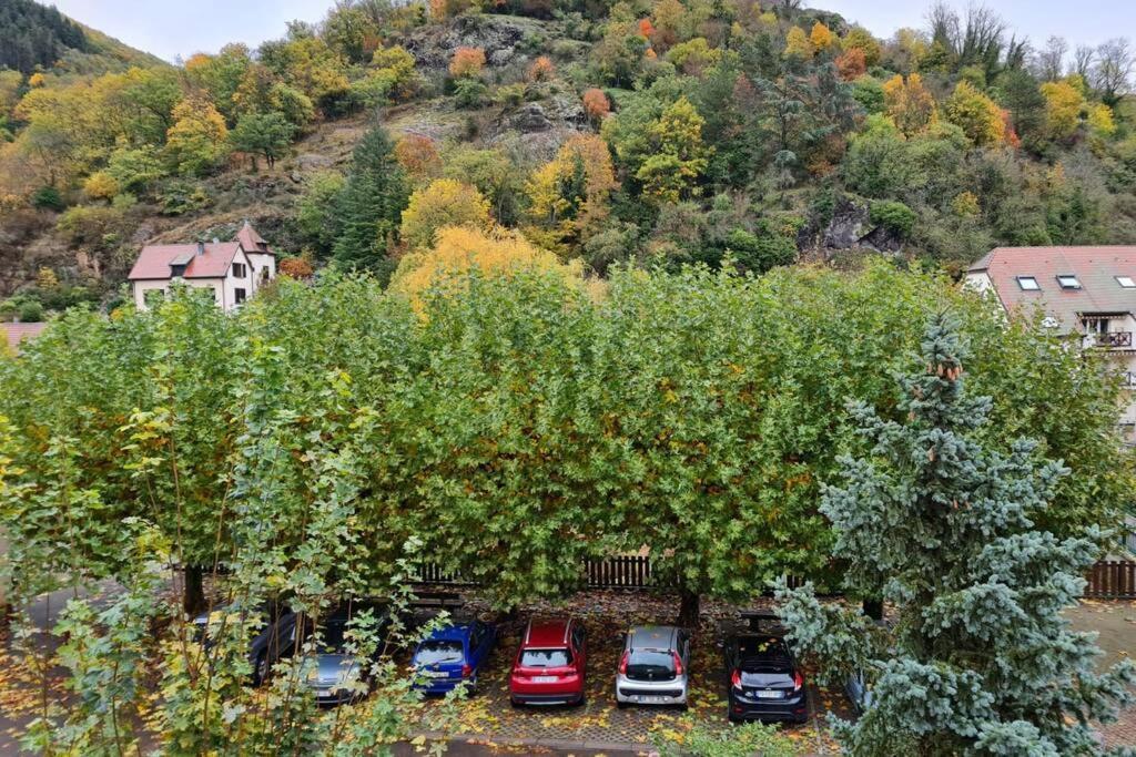 Lumineux Appartement Free Parking Nature Ville Tt Equipe Thann Zewnętrze zdjęcie