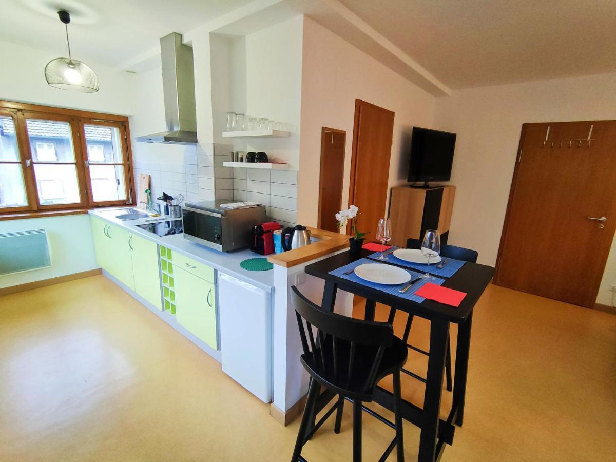 Lumineux Appartement Free Parking Nature Ville Tt Equipe Thann Zewnętrze zdjęcie