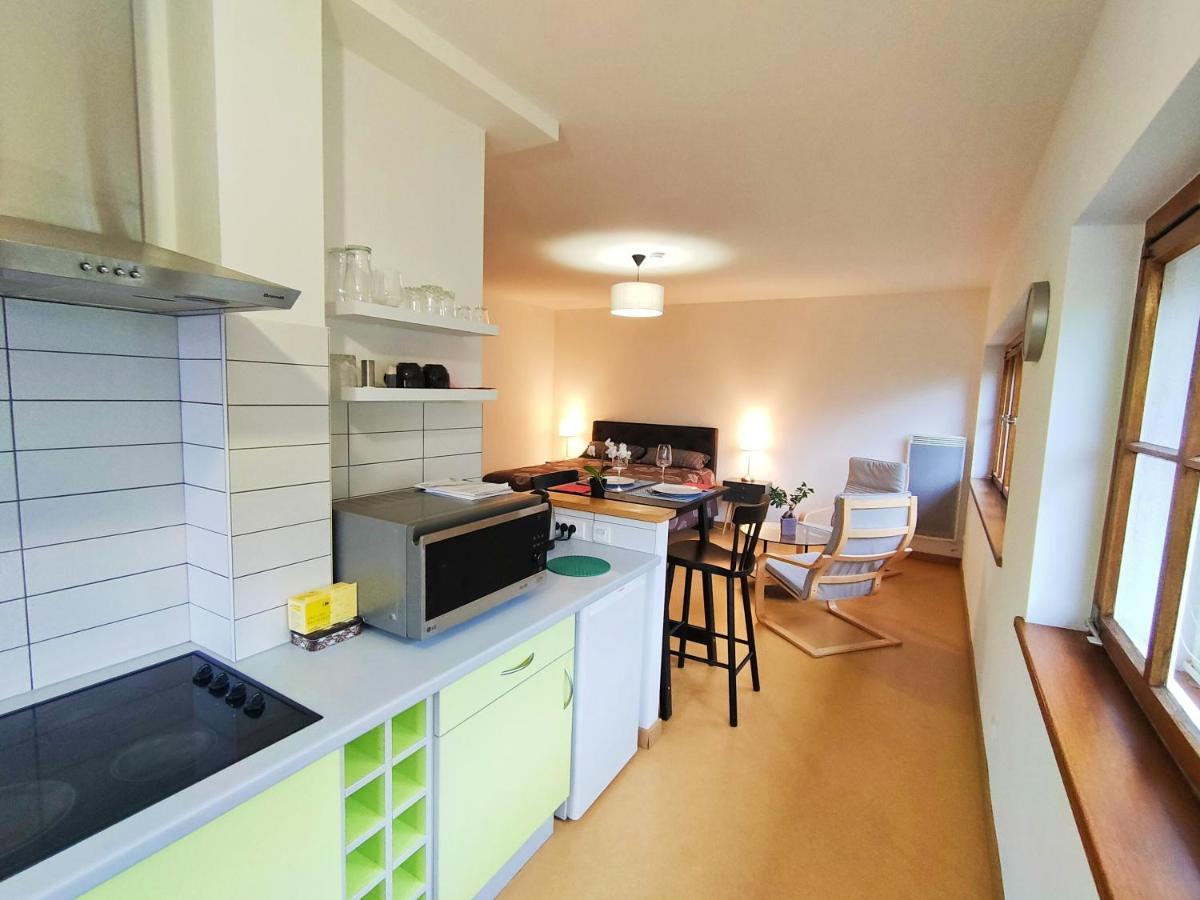 Lumineux Appartement Free Parking Nature Ville Tt Equipe Thann Zewnętrze zdjęcie