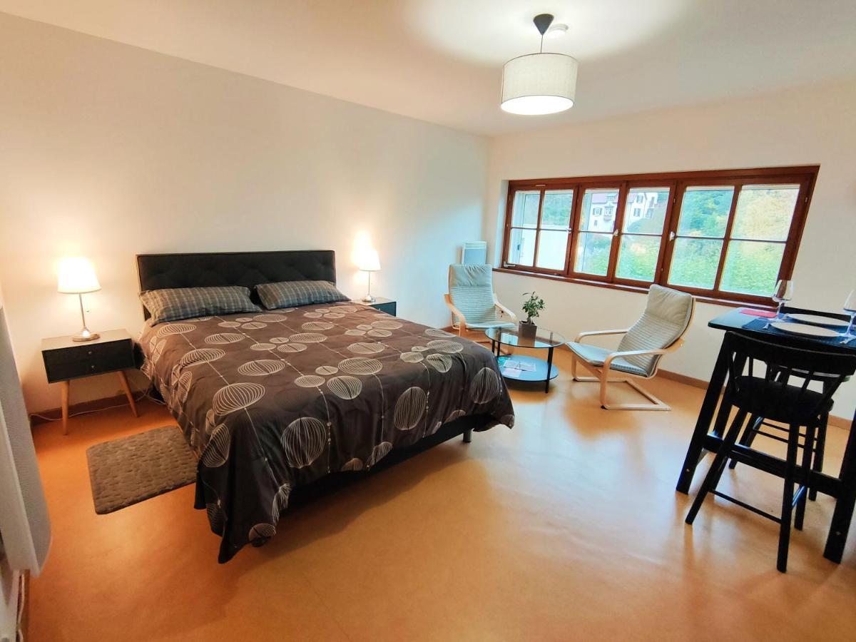 Lumineux Appartement Free Parking Nature Ville Tt Equipe Thann Zewnętrze zdjęcie